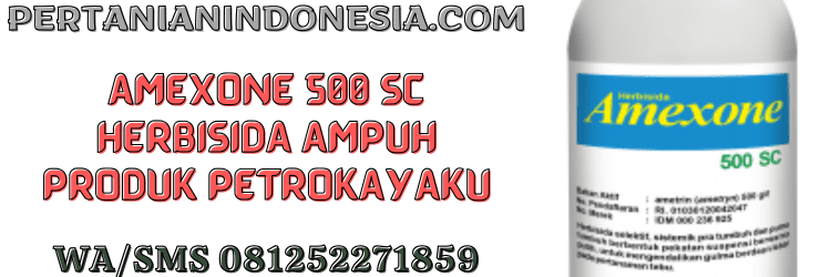 amexone,amexone 500 sc,pestisida,herbisida,pertanian indonesia